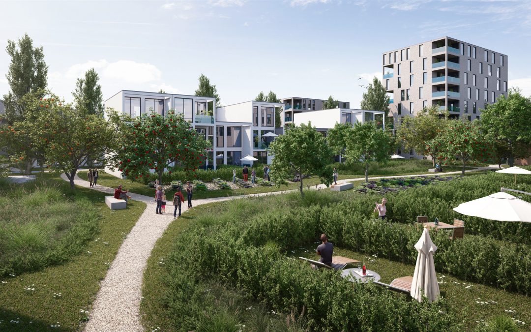 Salve de nouveaux logements dans les trois quartiers du nord de la ville