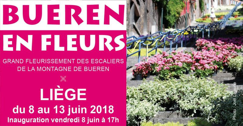 Bueren En Fleurs Pour Commémorer Les 100 Ans De La Fin De