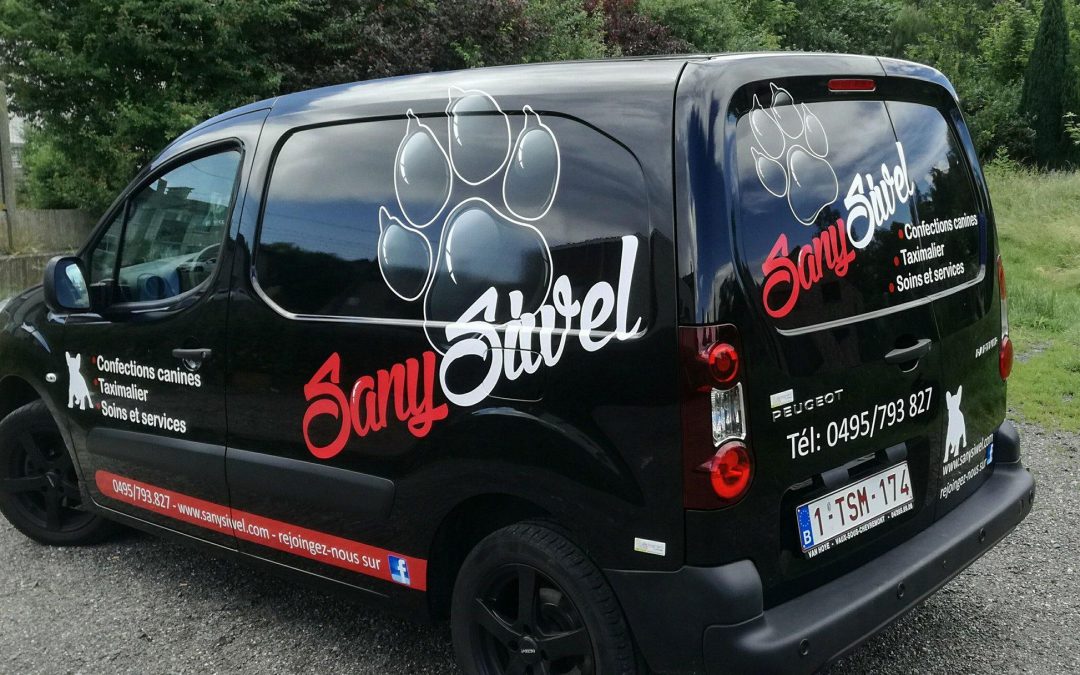 Nouveau service de taxi pour animaux en province de Liège