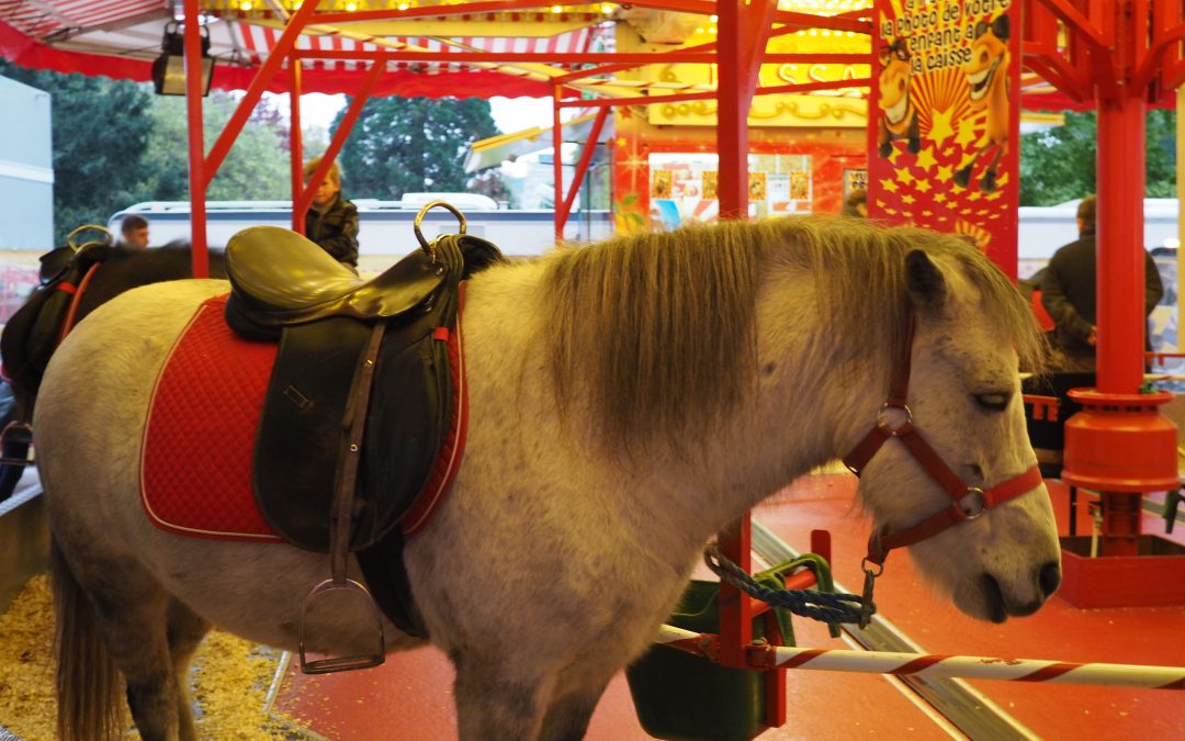 Fini les poneys sur la foire de Liège !