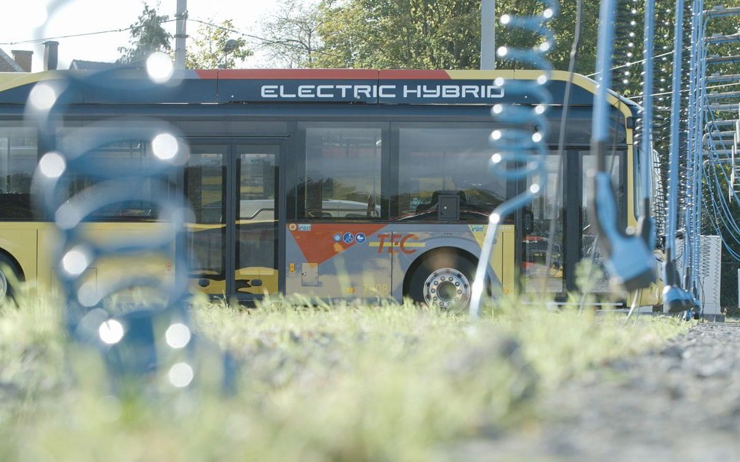 La ligne de bus 12 devient hybride; cinq autres le seront également cet été