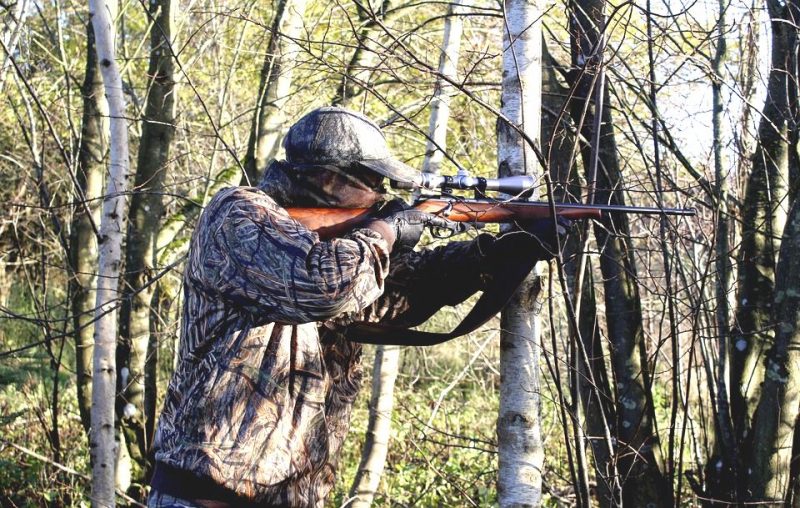 Chasse aux oiseaux autorisée sur les hauteurs de Cointe