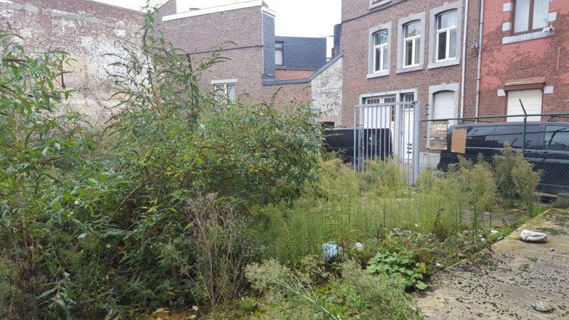 Accord pour le jardin collectif en Outremeuse mais il reste 30.000 euros à financer