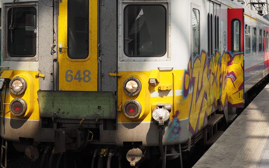 Onze animaux fauchés par des trains en province de Liège