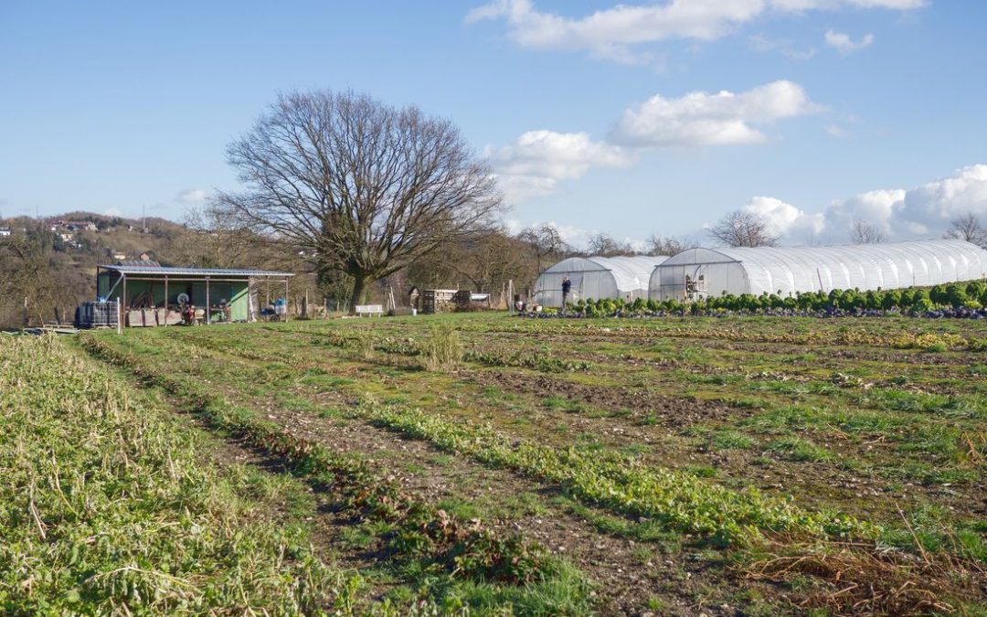 Nourrir Liège Campus 2022:  une cinquantaine d’activités pour sensibiliser aux multiples enjeux de l’alimentation