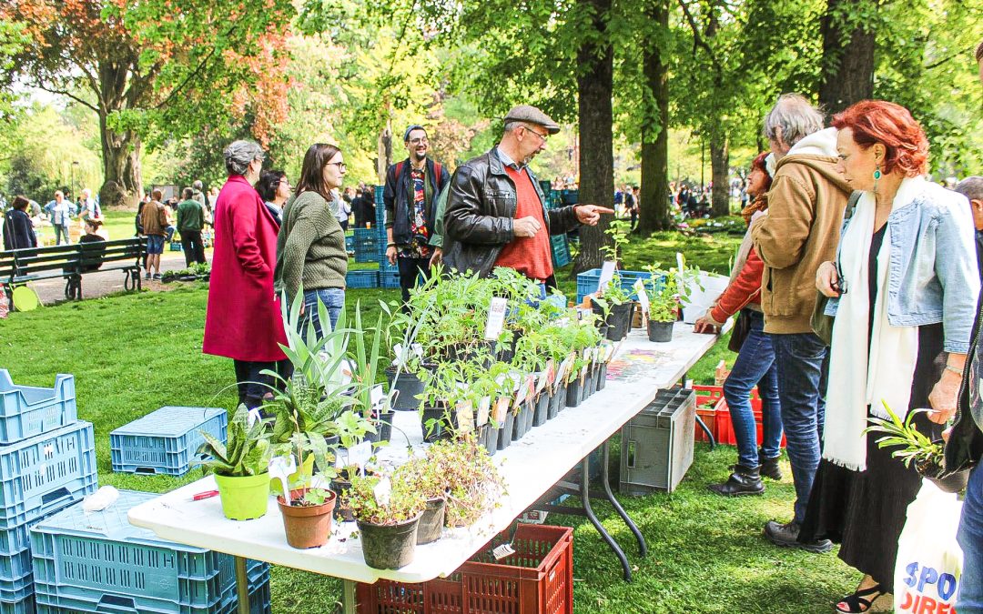 Bourse aux plantes et graines le 1er mai au Jardin Botanique