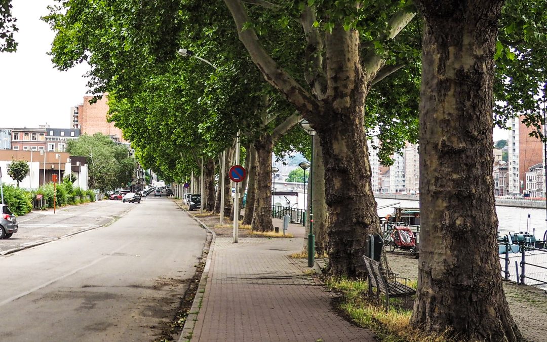 Le corps d’un trentenaire repêché dans la Meuse ce lundi: début de l’enquête