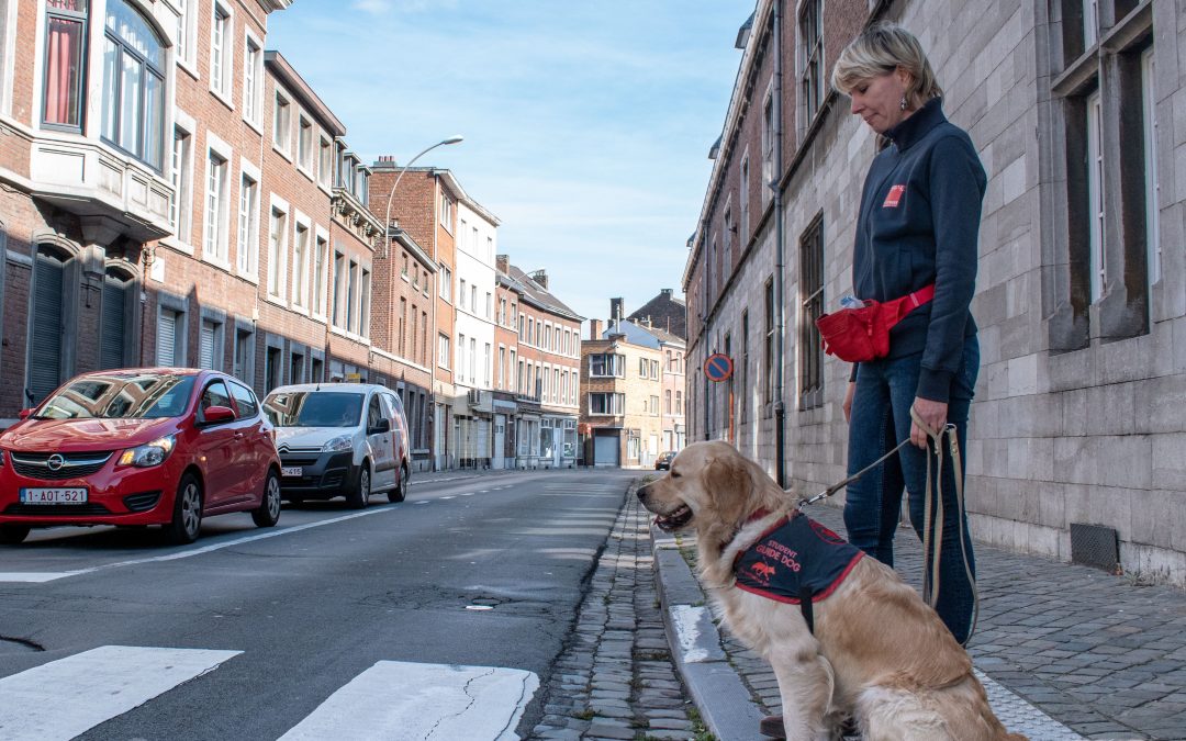 Une marche ADEPS organisée à Liège en faveur des chiens guides