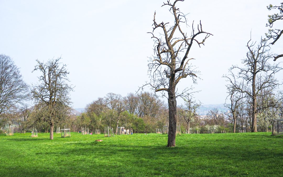 Festival de Promenade au Pays de Liège: des cheminements à thèmes loin des tumultes de la ville