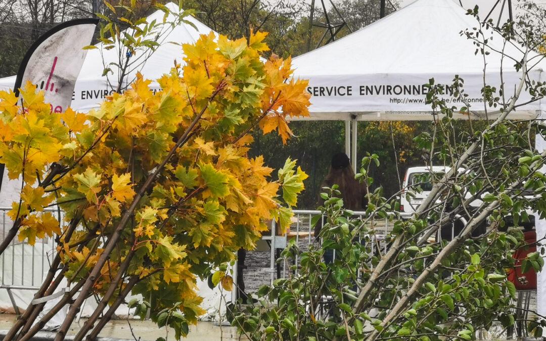 Réservez gratuitement un arbre à planter dans votre jardin fin novembre avec des petits fruitiers