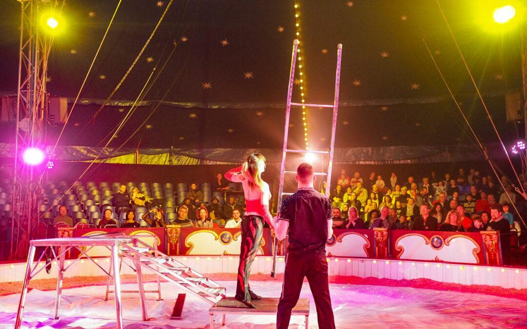 Nouvelle annulation du European Circus Festival: est-ce sa fin définitive ?