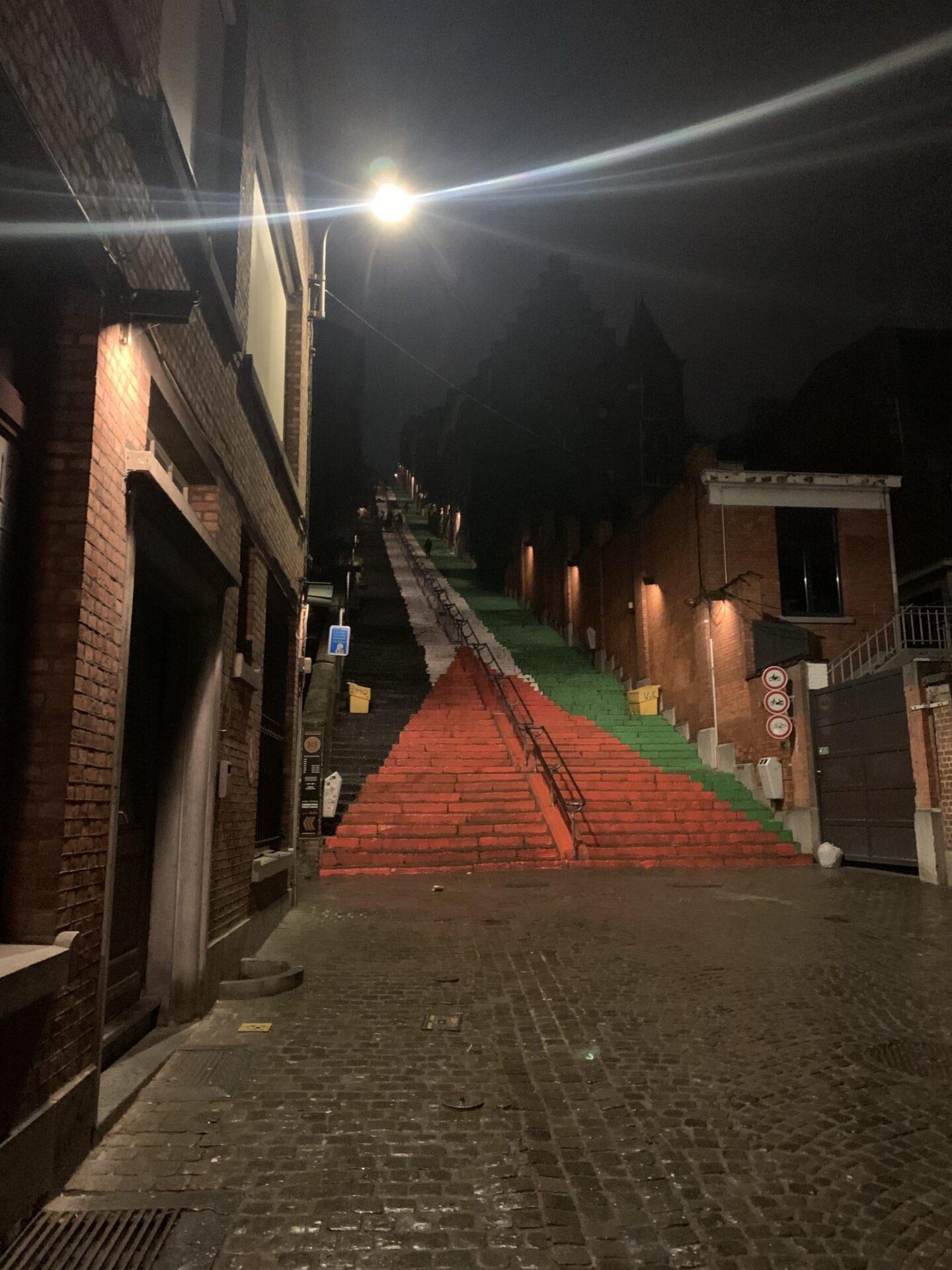 Les escaliers de Bueren repeints cette nuit aux couleurs de la Palestine