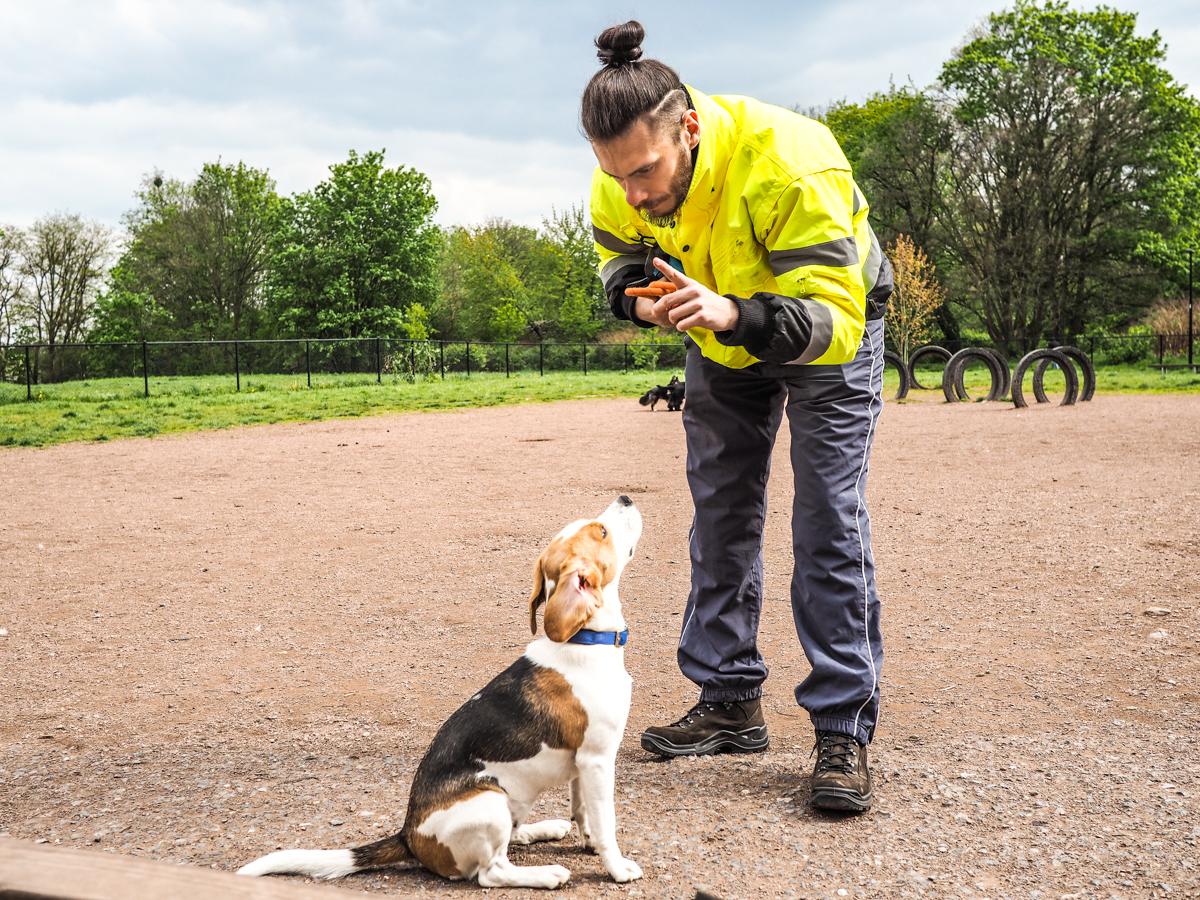 Un second parc canin en projet à Liège