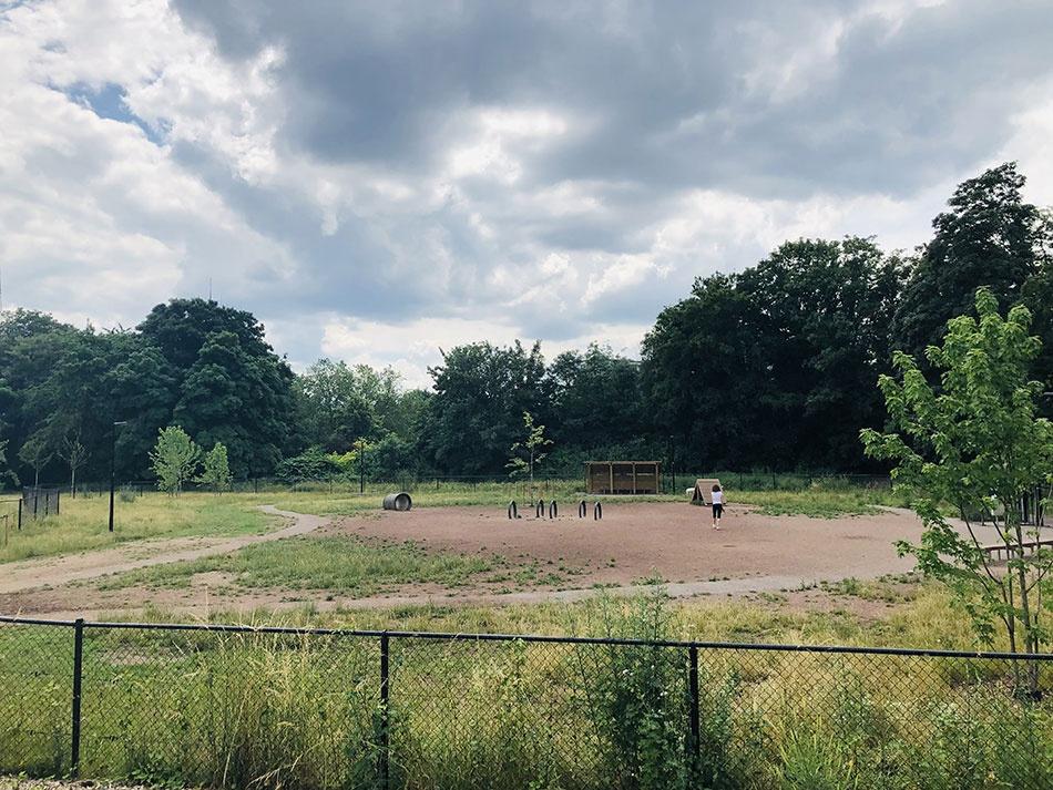 C’est confirmé: un parc canin va être créé au coeur du parc d’Avroy