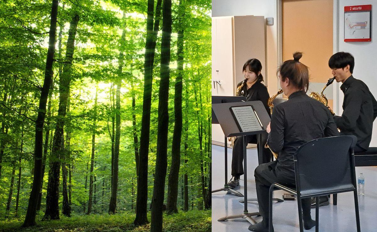 Concert exceptionnel du conservatoire de Liège, en pleine forêt, ce samedi