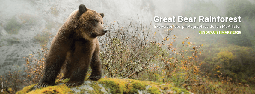 Agenda ► Great Bear Rainforest