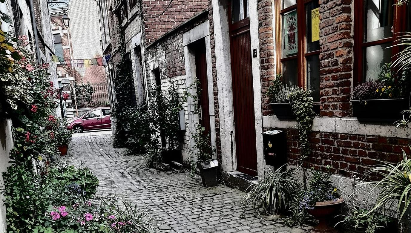 Dans la rue Beauregard, les câbles seront à nouveau enfouis dès la fin du chantier des égoûts