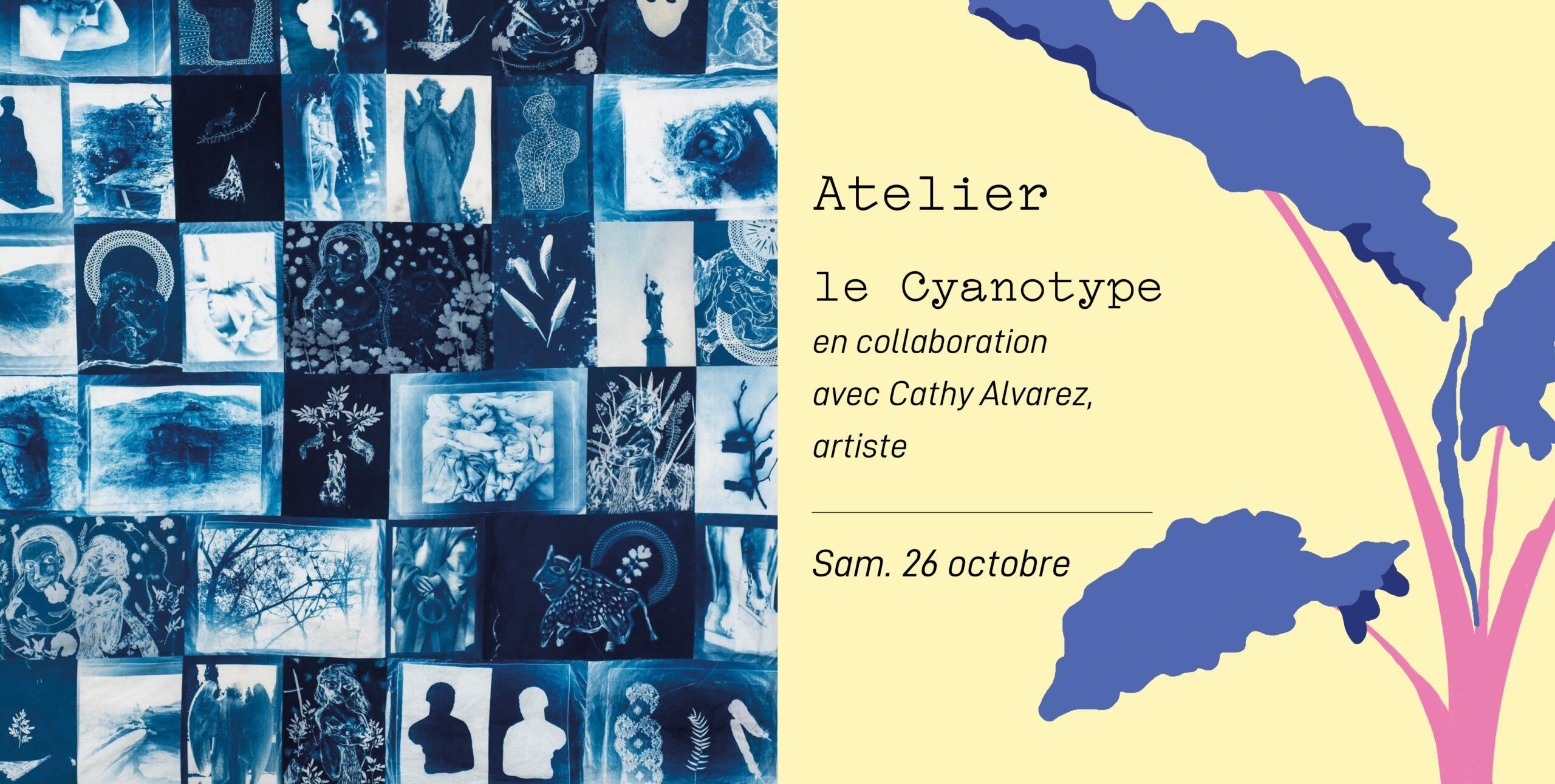 Agenda ► Le Cyanotype – Atelier (long)