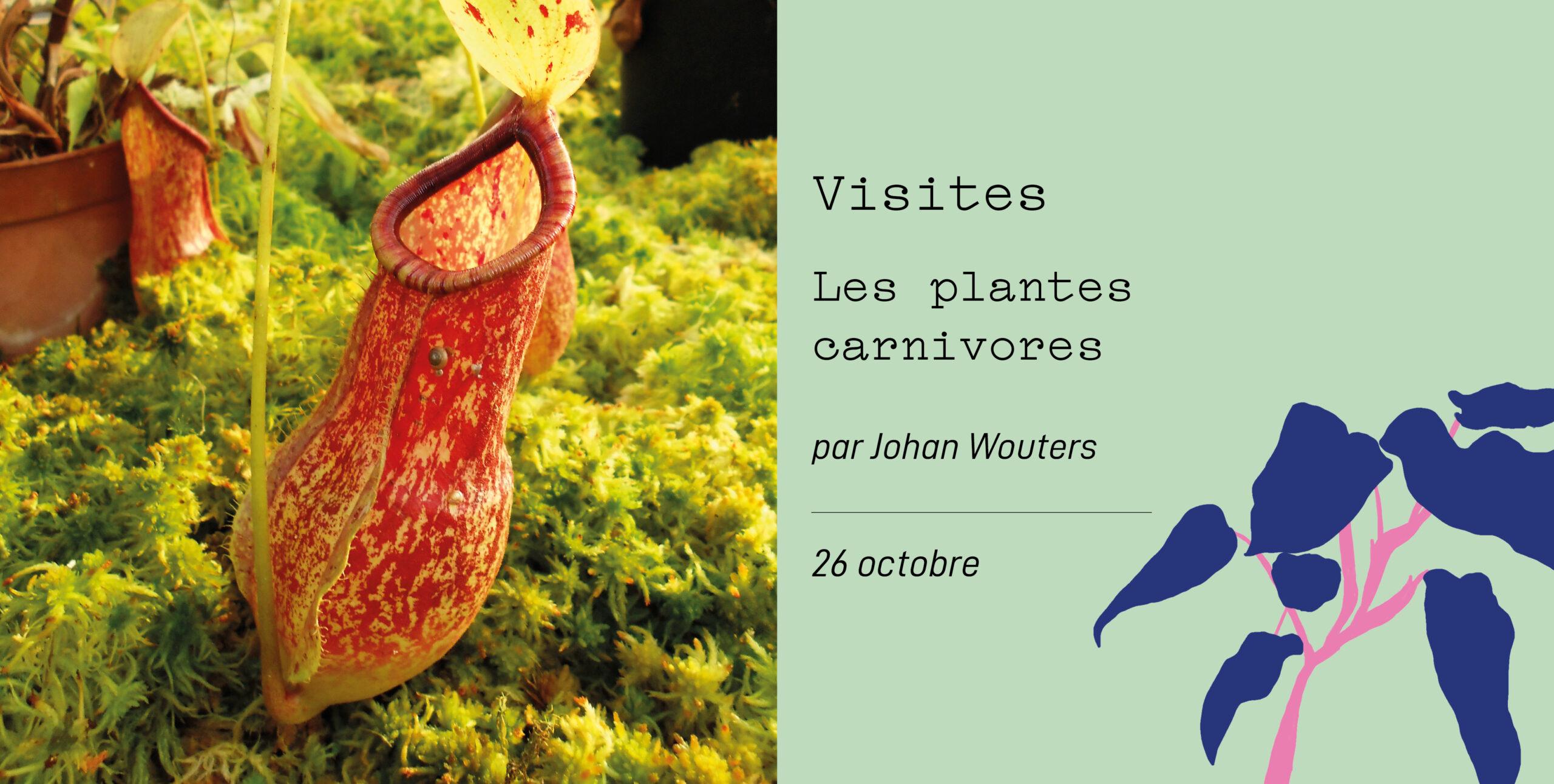 Agenda ► Les plantes carnivores – Visite thématique