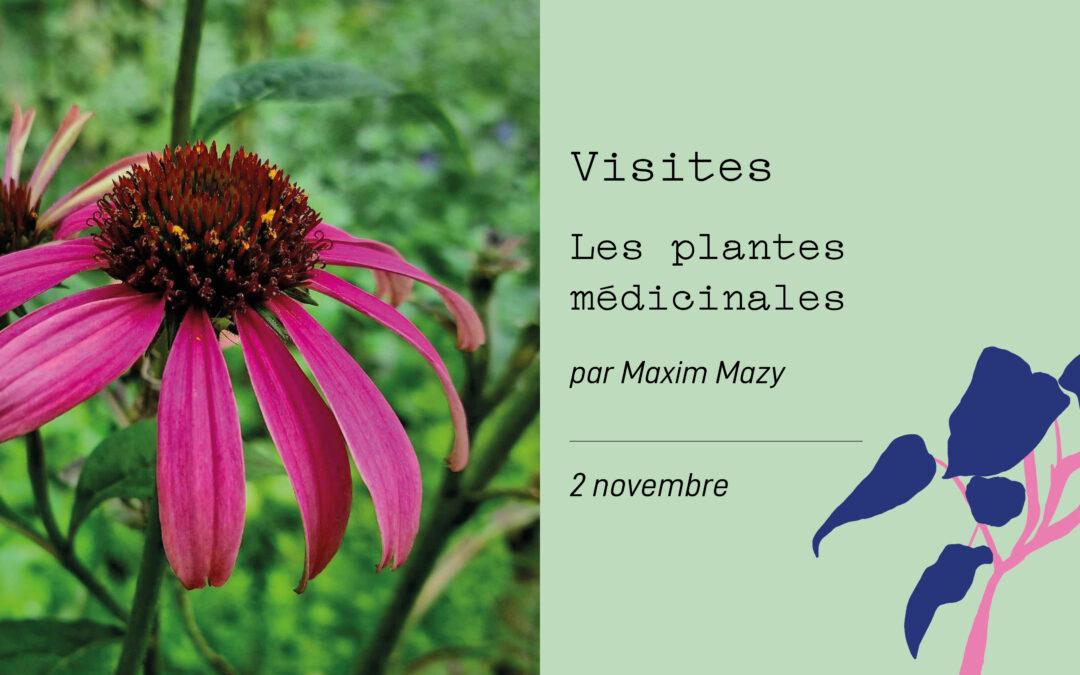 Agenda ► Les plantes médicinales – Visite thématique