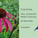 Les plantes médicinales - Visite thématique