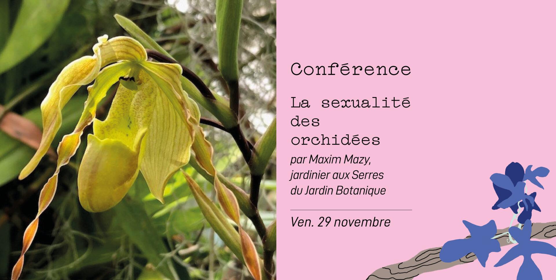 La sexualité des orchidées - Conférence