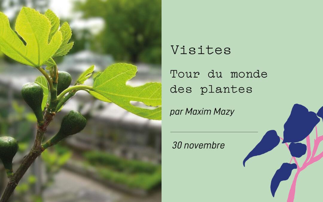 Agenda ► Tour du monde des plantes – Visite thématique