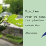 Tour du monde des plantes - Visite thématique