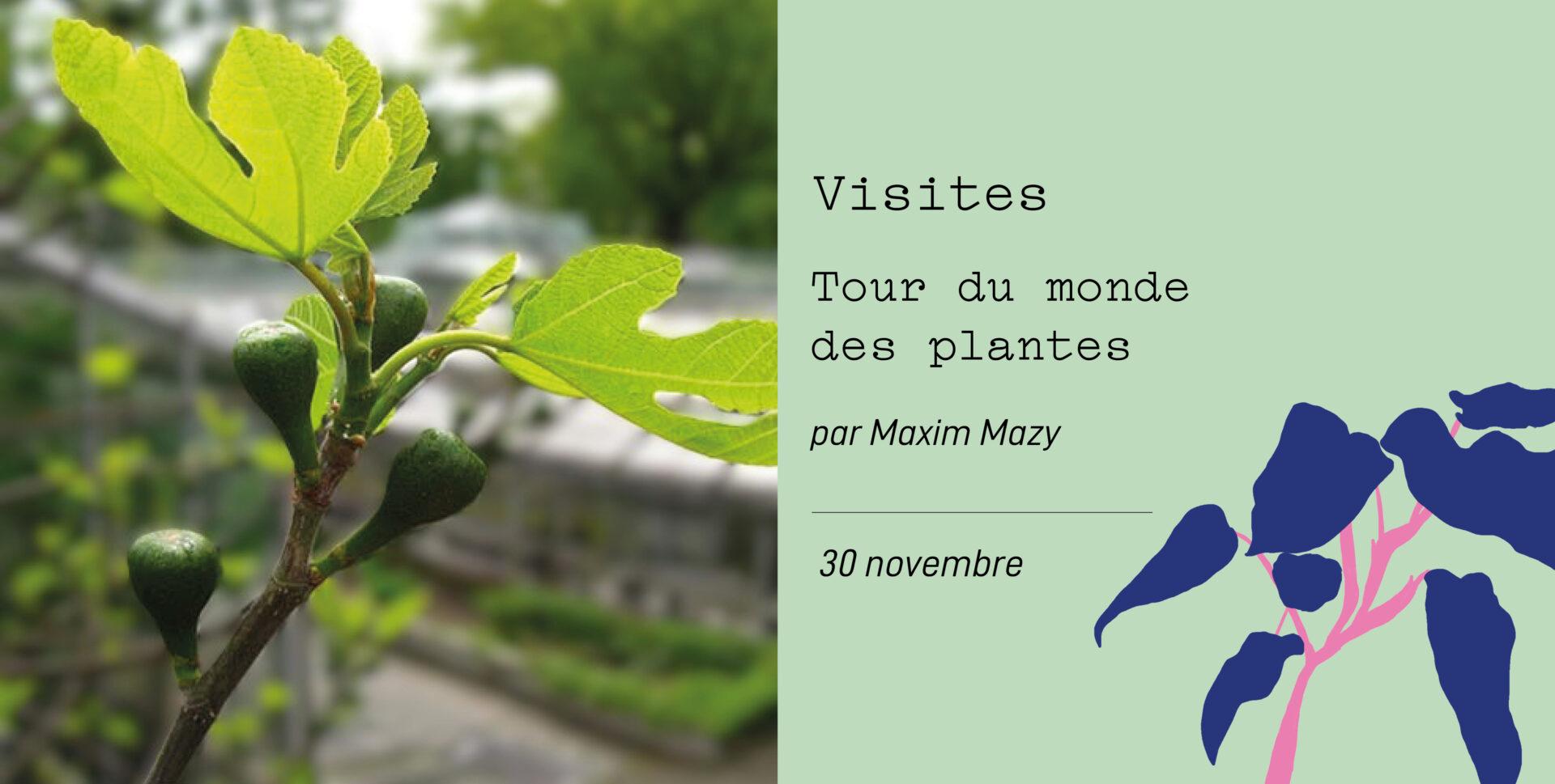 Tour du monde des plantes - Visite thématique