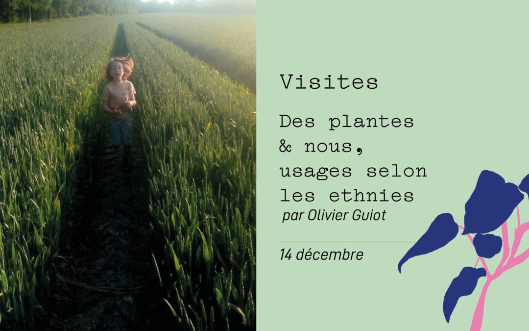 Agenda ► Des plantes et nous, usages selon les ethnies – Visite thématique