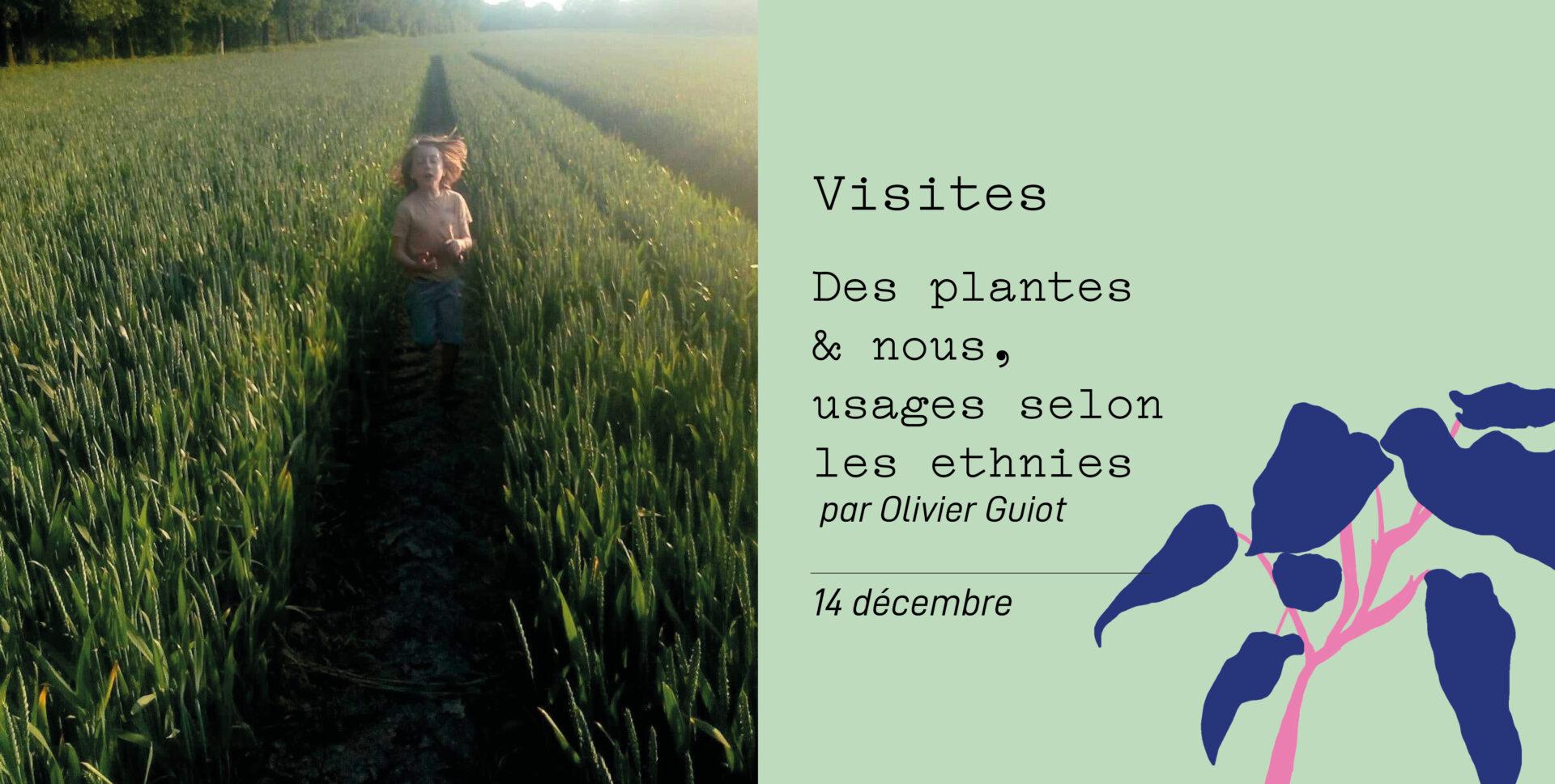 Des plantes et nous, usages selon les ethnies - Visite thématique