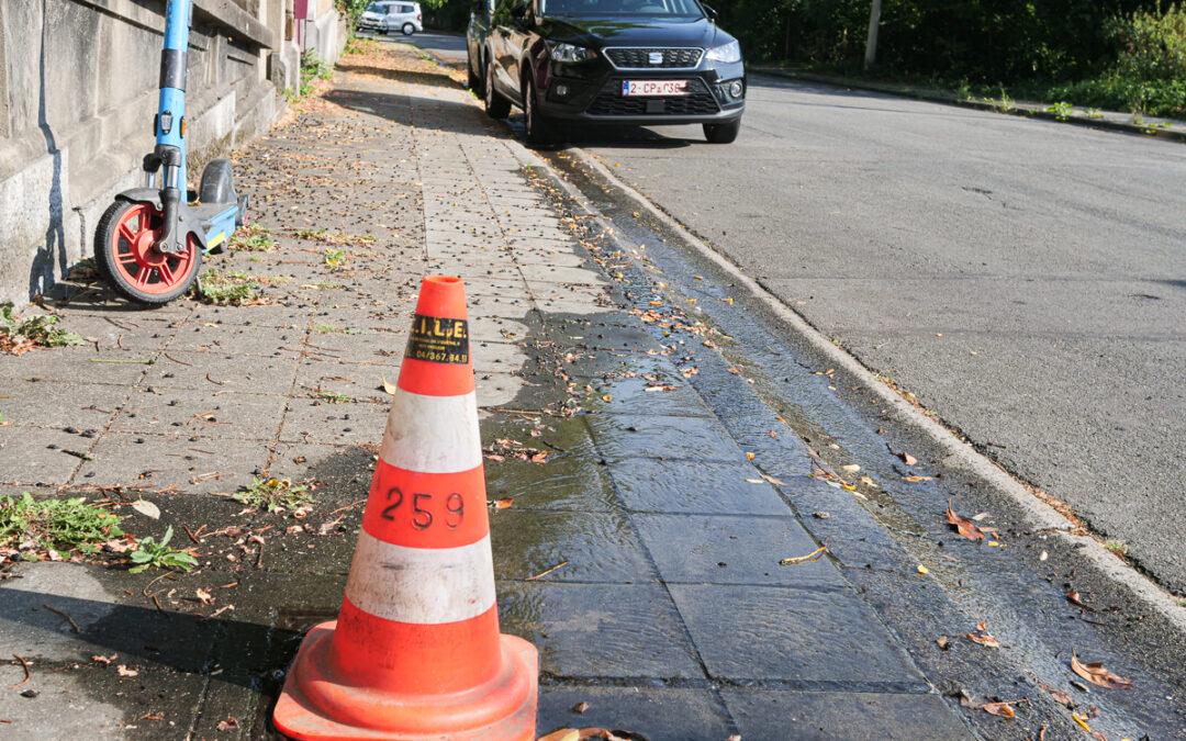 Cointe: ce petit ruisseau d’eau potable créé par la CILE le long de l’avenue C. de Gerlache