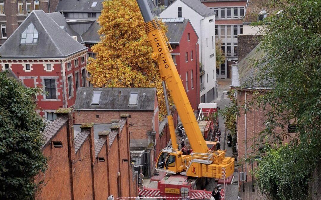 Une grue montagne de Bueren pour des travaux au collège Saint-Barthélemy