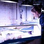 Visitez les Coulisses de l'Aquarium de Liège