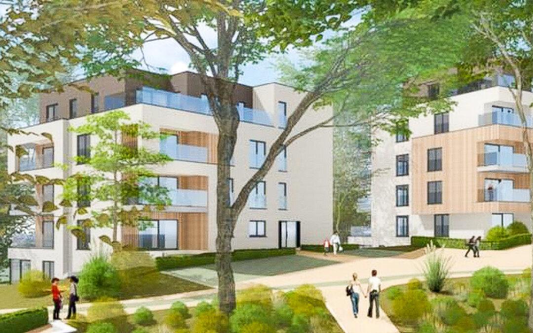 80 logements au Bois d’Avroy le promoteur revient avec un projet revu à la baisse et préservant plus d’arbres