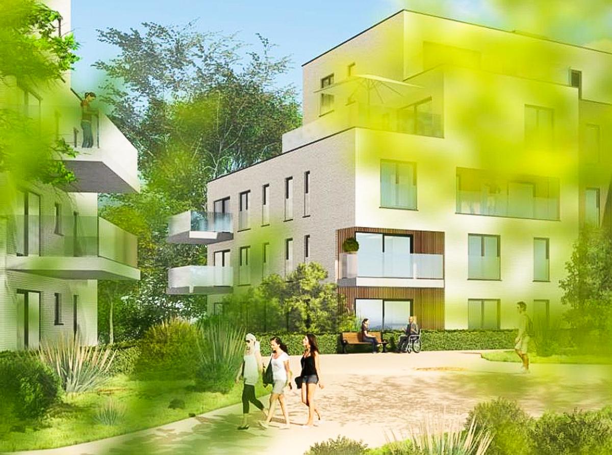 Oppositions au nouveau projet immobilier du Bois d’Avroy: des centaines d’arbres à préserver