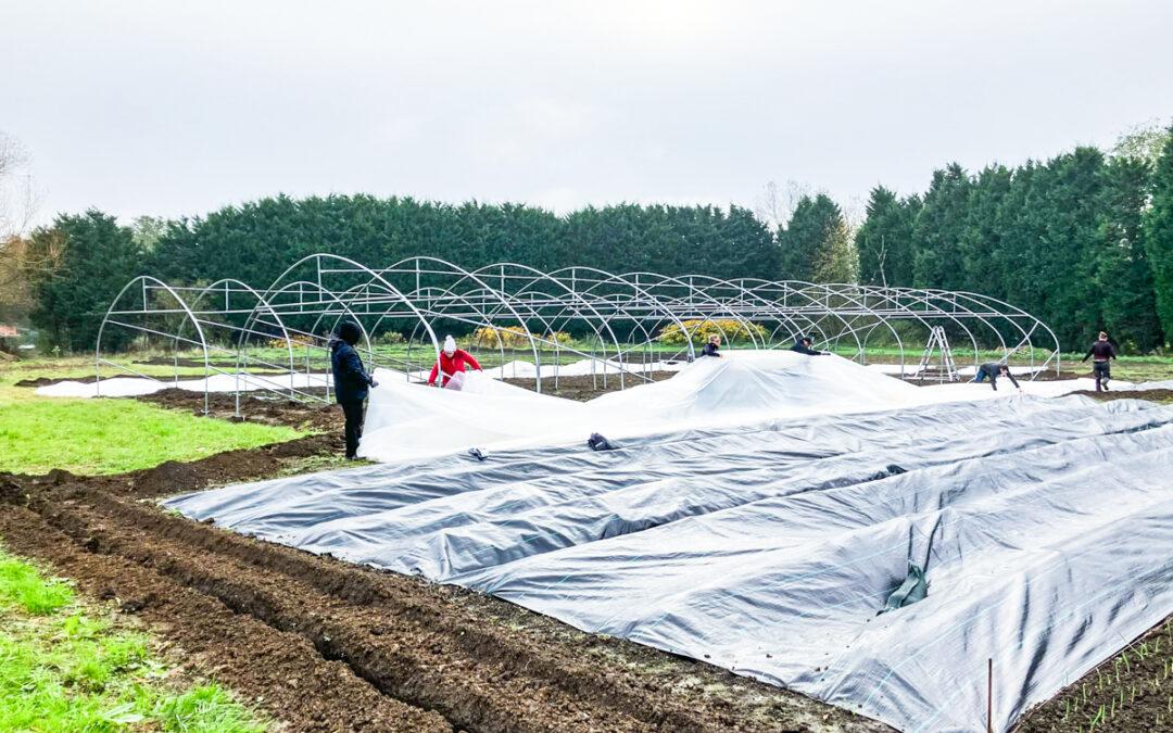 Un chouette projet de maraîchage en auto-cueillette sur les hauteurs de Liège