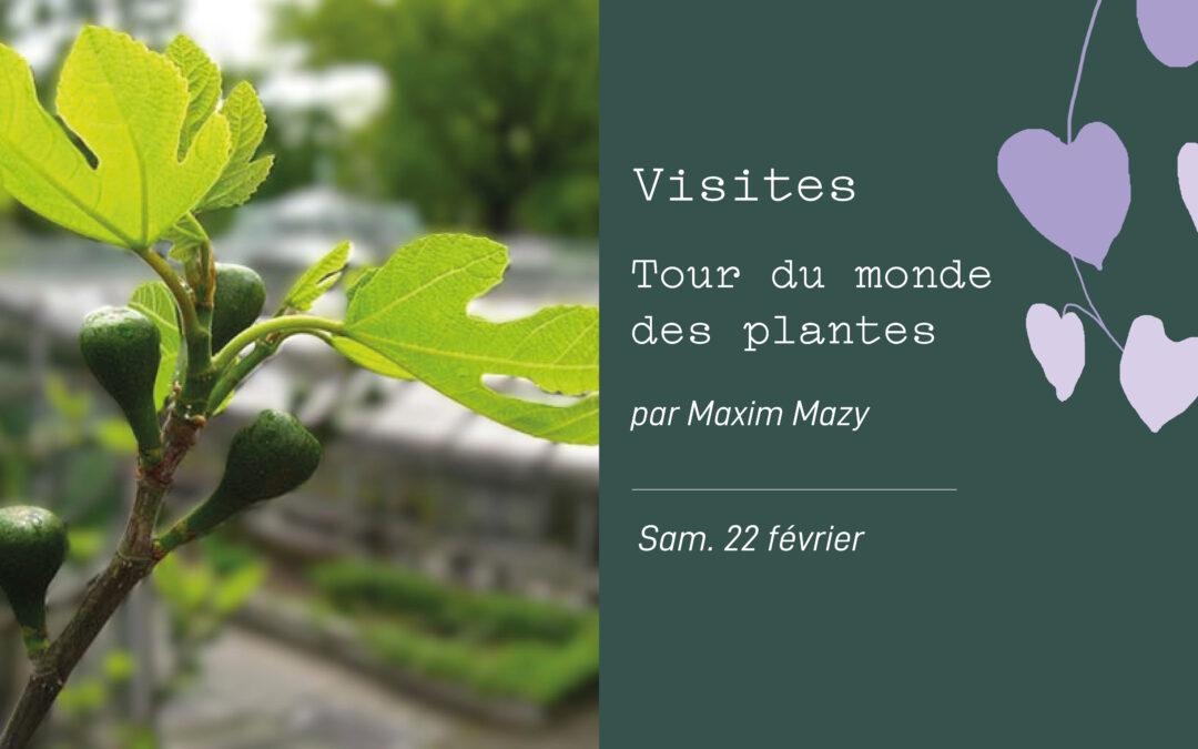 Agenda ► Tour du monde des plantes