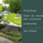 Tour du monde des plantes