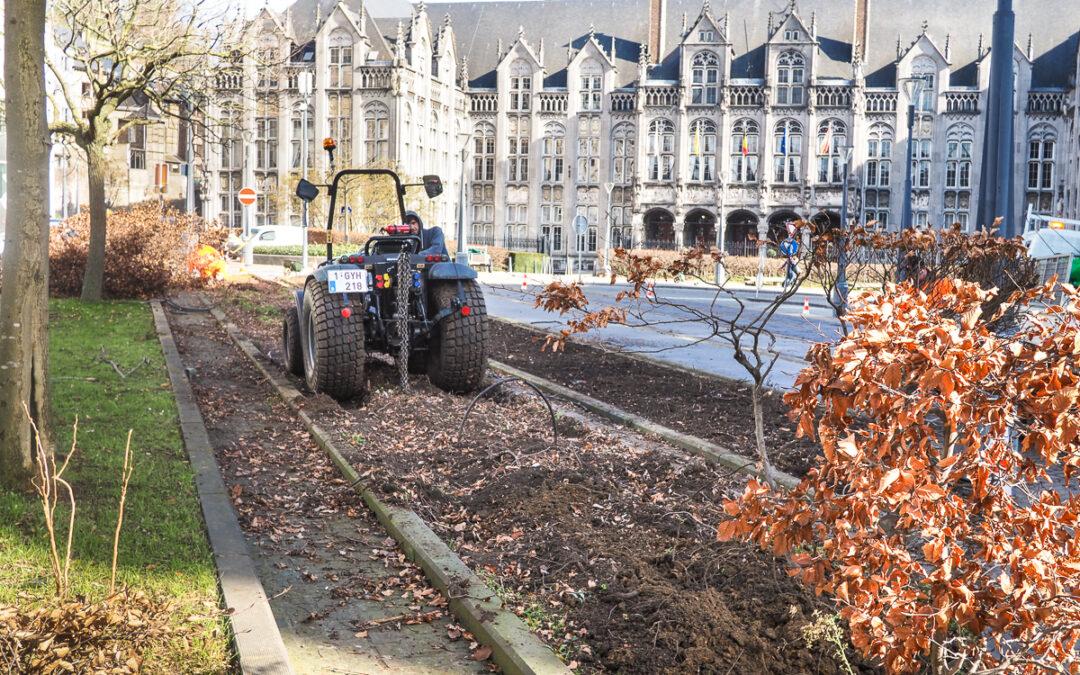 On arrache les haies de hêtres au Cadran pour les remplacer par une plante aromatique