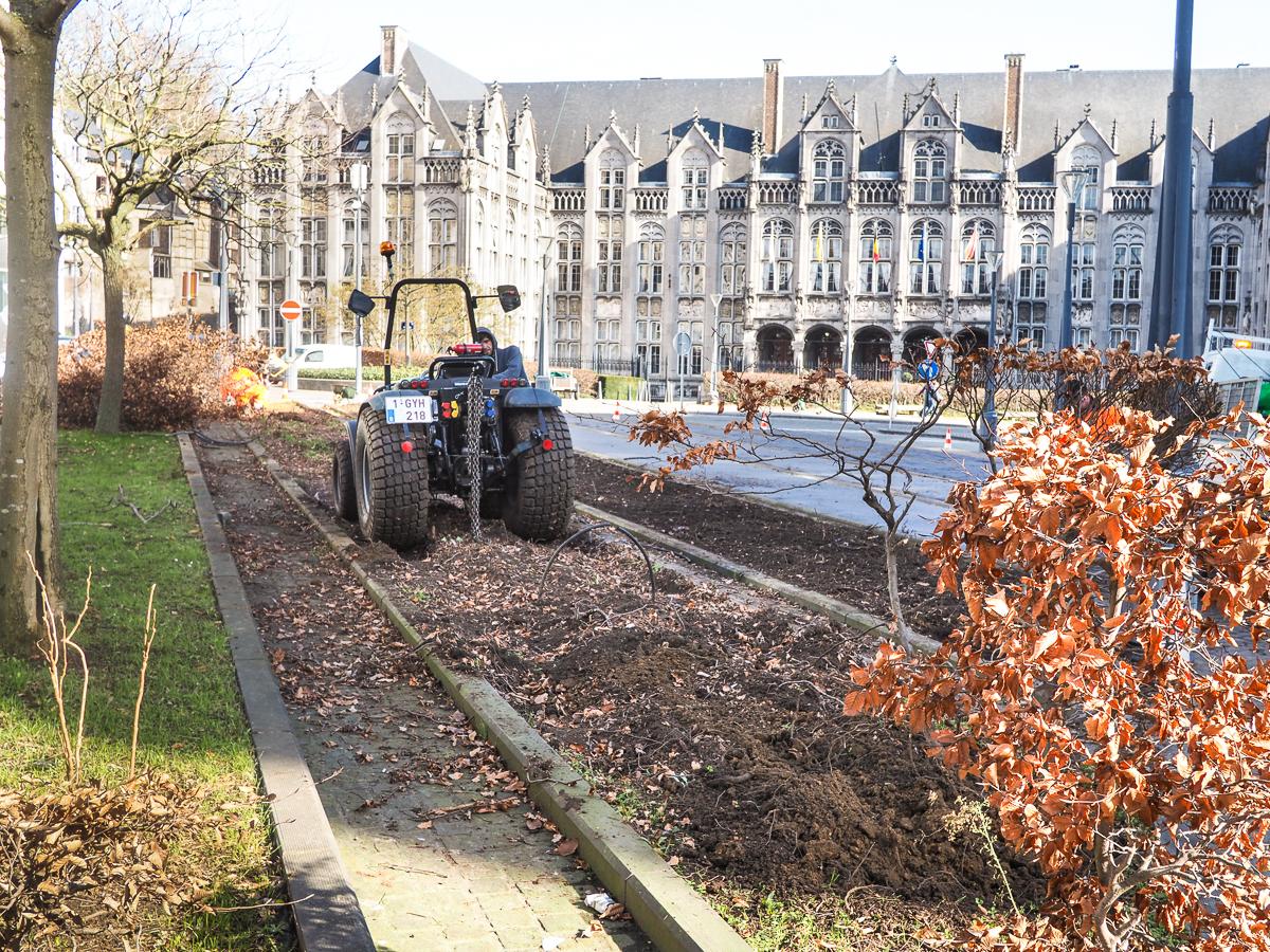 On arrache les haies de hêtres au Cadran pour les remplacer par une plante aromatique